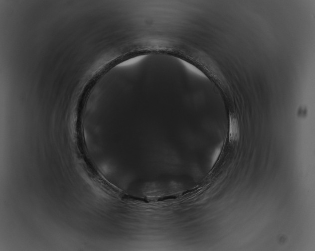 X0000100890627200807220952