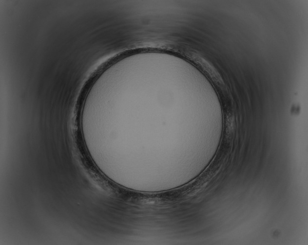 X0000100890628200807220952