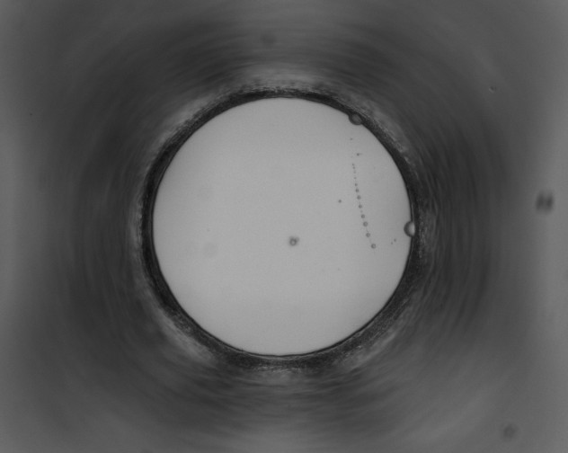 X0000100890629200807220952