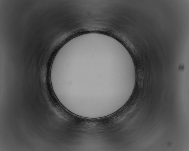 X0000100890631200807220952