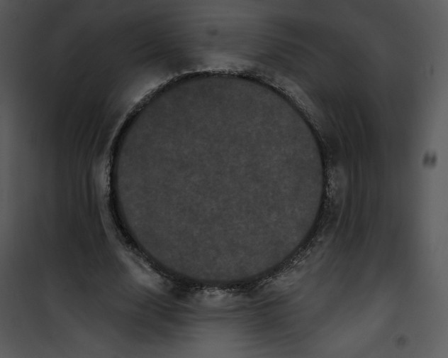 X0000100890632200807220952