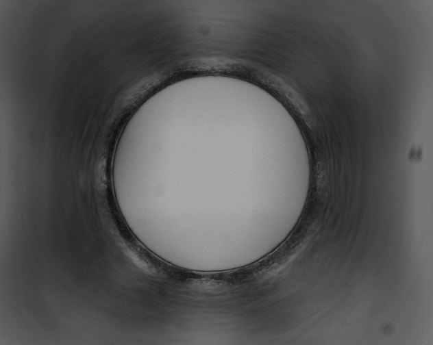 X0000100890633200807220952