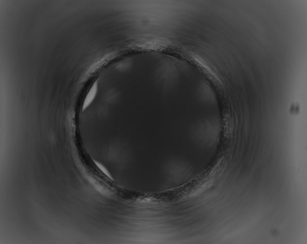 X0000100890634200807220952