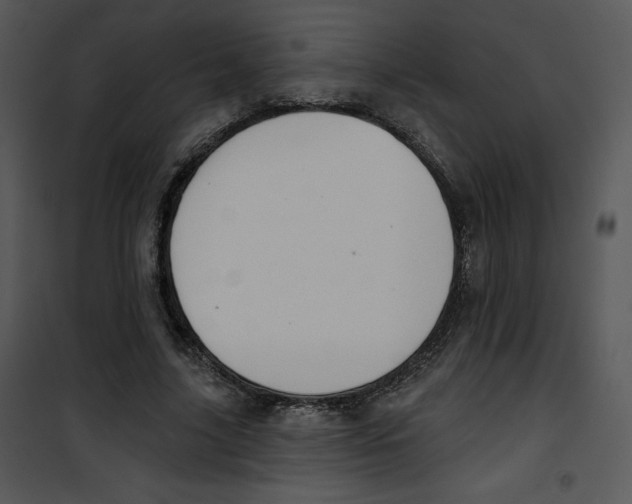 X0000100890635200807220952