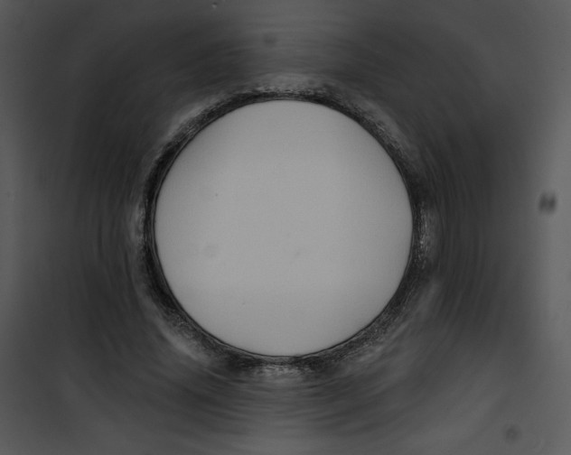 X0000100890636200807220952