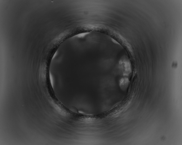 X0000100890637200807220952