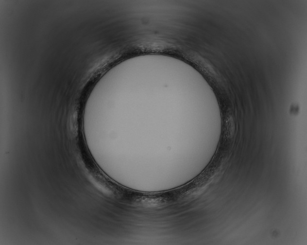 X0000100890638200807220952