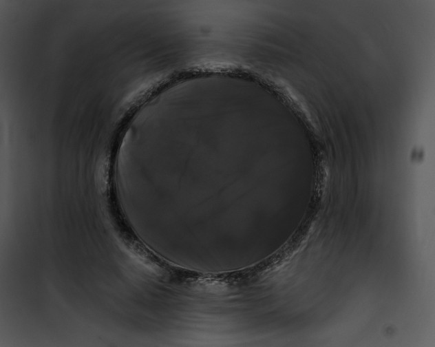 X0000100890640200807220952