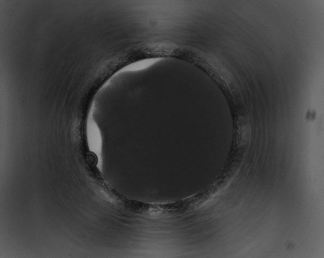 X0000100890641200807220952