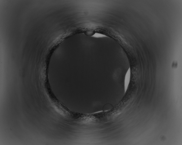 X0000100890642200807220952