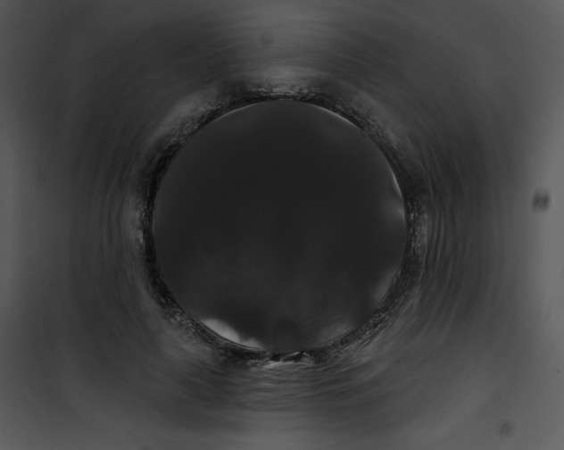 X0000100890643200807220952