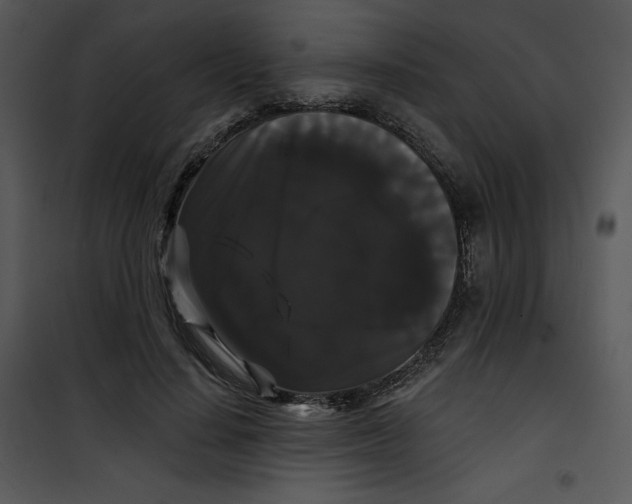 X0000100890644200807220952