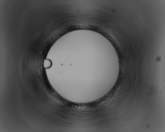 X0000100890645200807220952