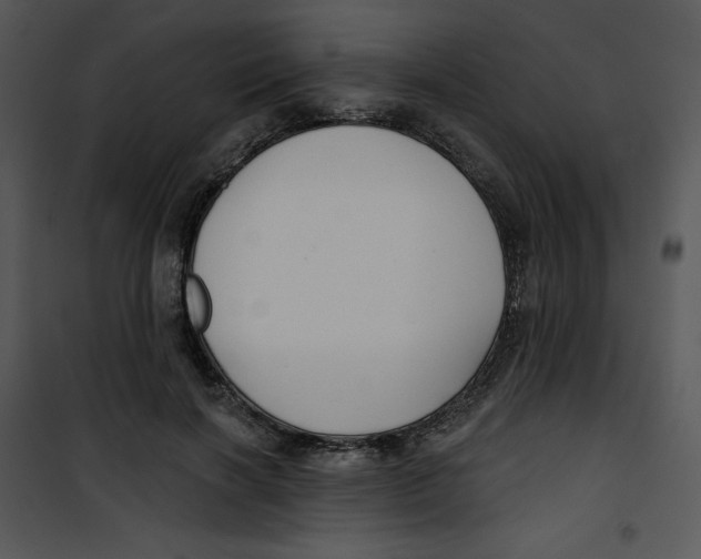 X0000100890646200807220952