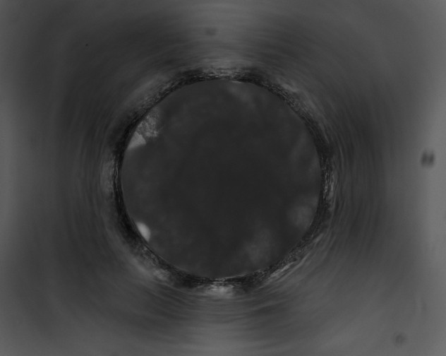 X0000100890647200807220952