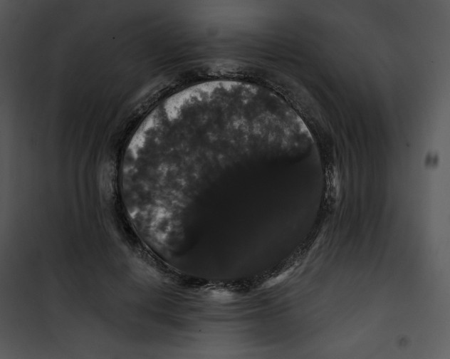 X0000100890648200807220952