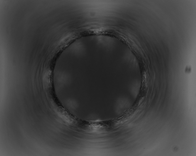 X0000100890650200807220952