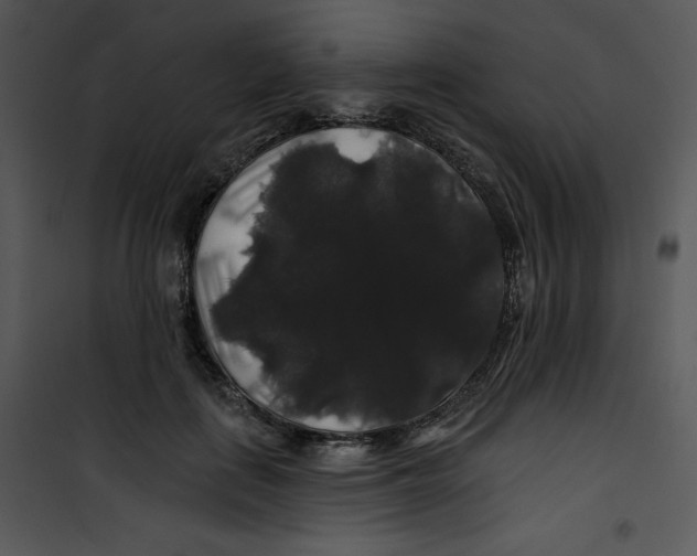 X0000100890651200807220952