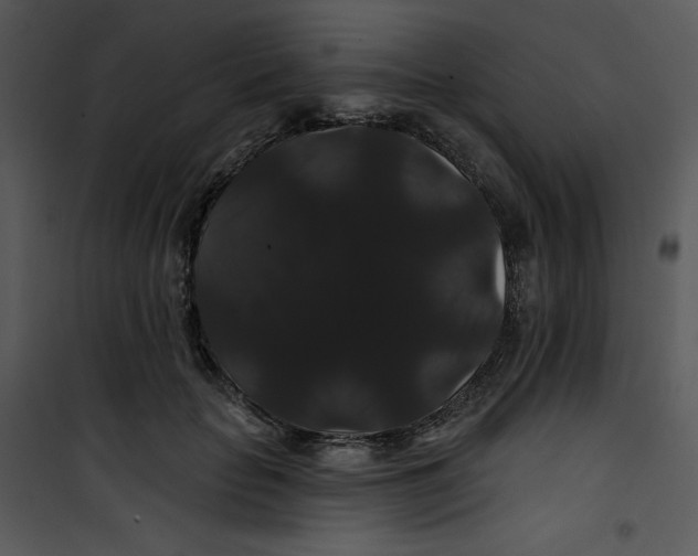 X0000100890653200807220952