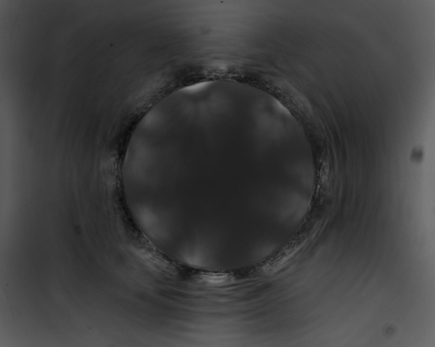 X0000100890659200807220953