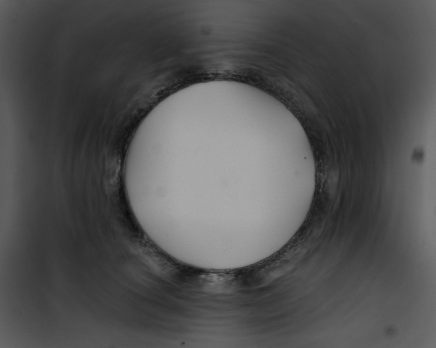 X0000100890660200807220953