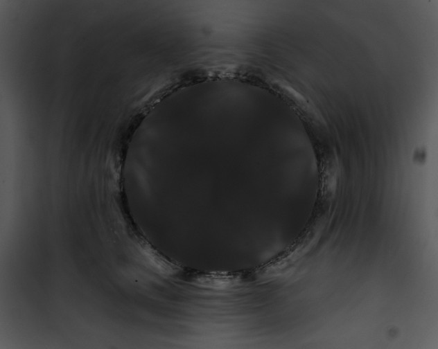 X0000100890661200807220953