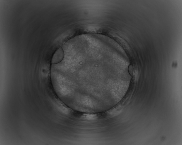 X0000100890665200807220953