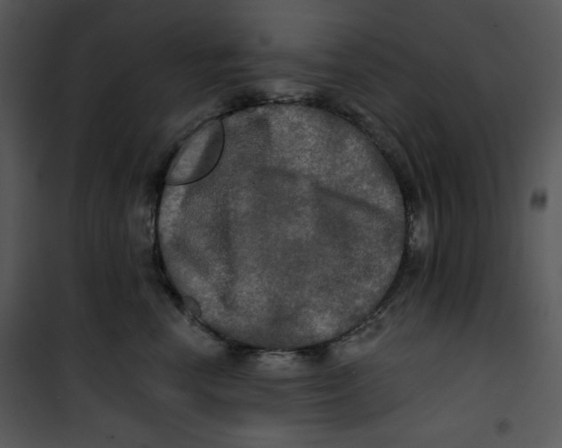 X0000100890666200807220953