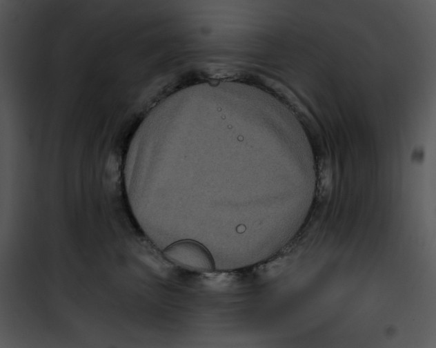 X0000100890667200807220953