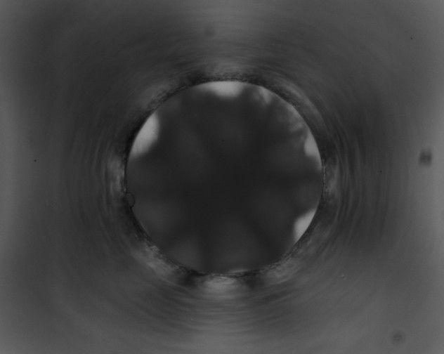 X0000100890669200807220953