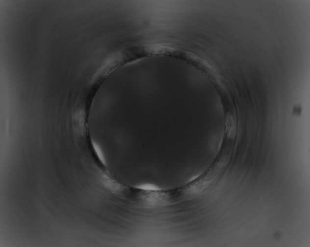 X0000100890670200807220953