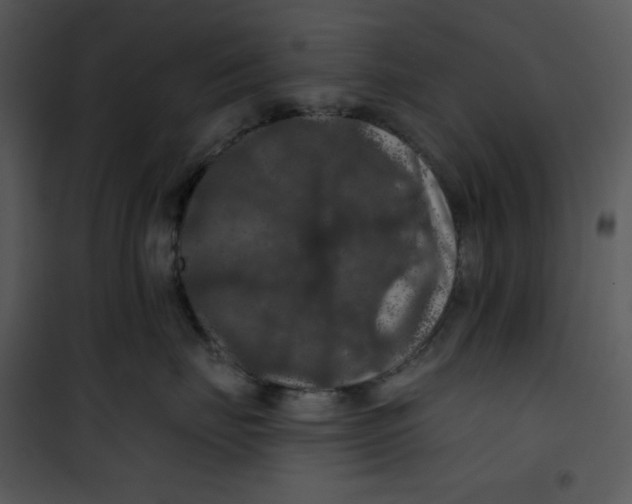 X0000100890671200807220953