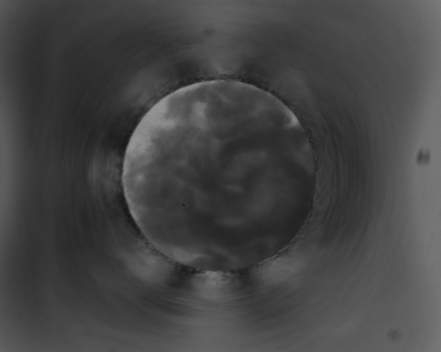 X0000100890672200807220953