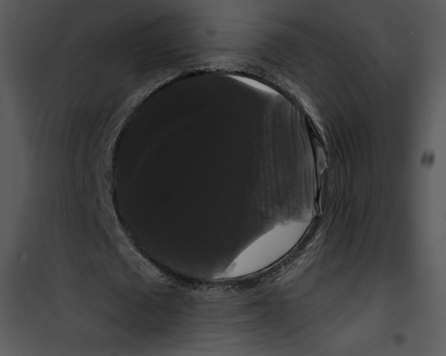 X0000100890673200807220952