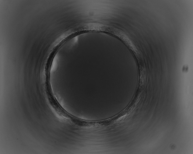 X0000100890674200807220952