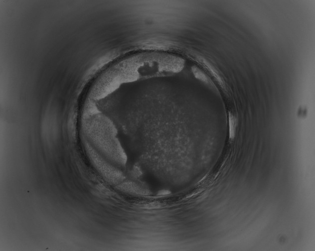 X0000100890675200807220952