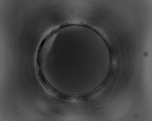 X0000100890678200807220952