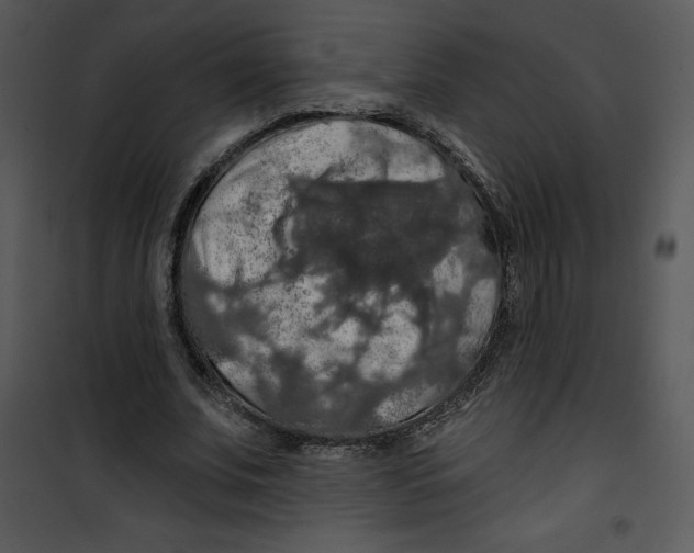 X0000100890679200807220952