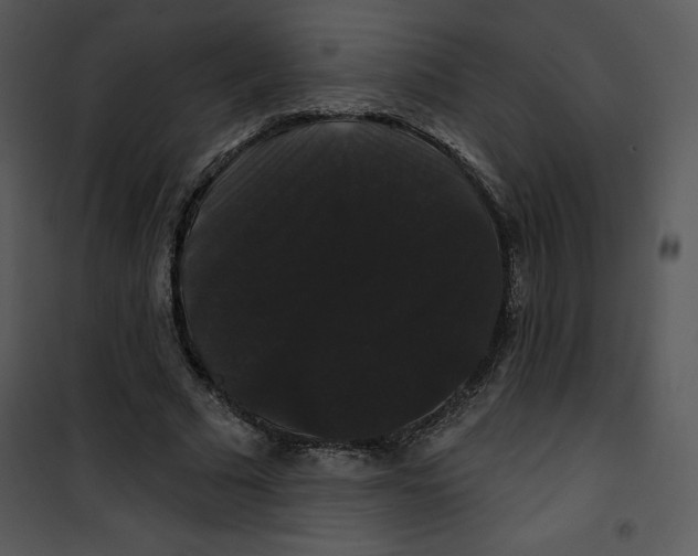 X0000100890681200807220952