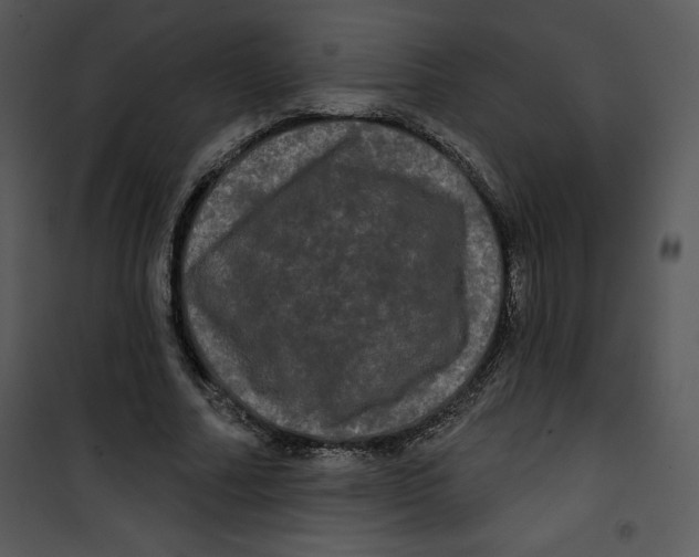 X0000100890682200807220952