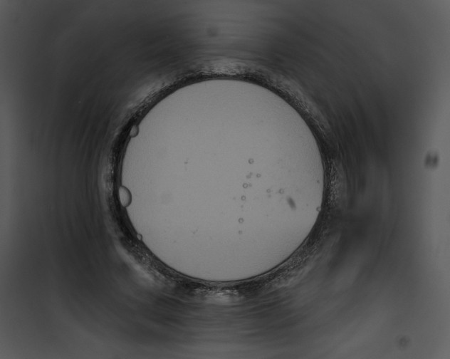 X0000100890683200807220952