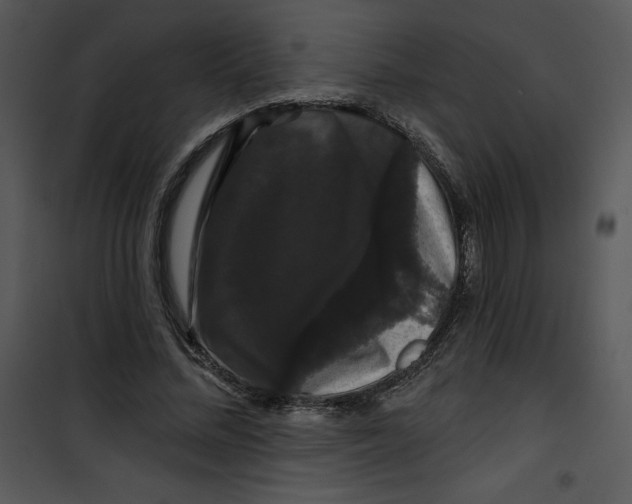 X0000100890684200807220952