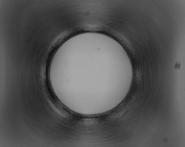 X0000100890686200807220952