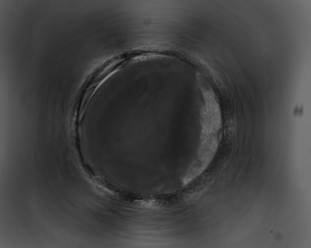 X0000100890688200807220952