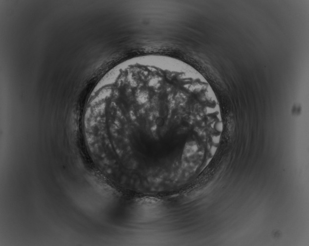 X0000100890691200807220952