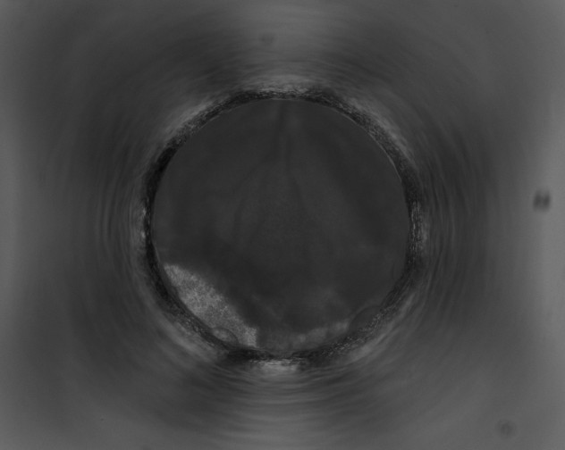 X0000100890692200807220952