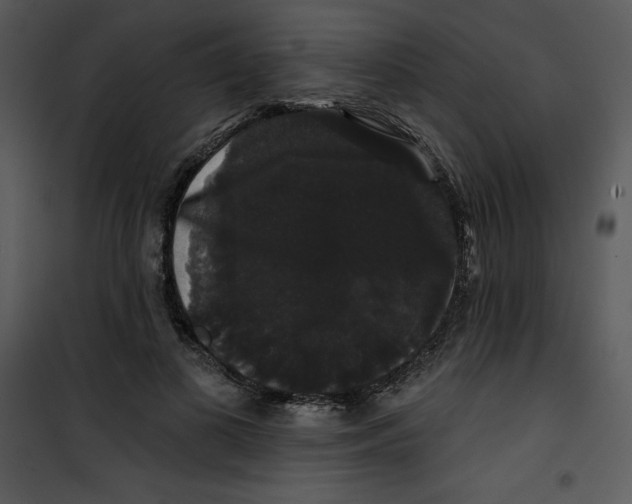 X0000100890693200807220952