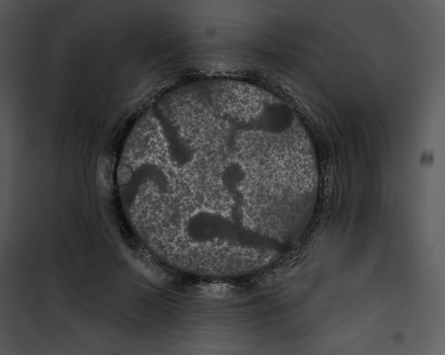 X0000100890695200807220952