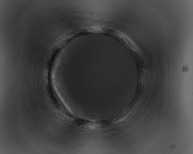 X0000100890696200807220952