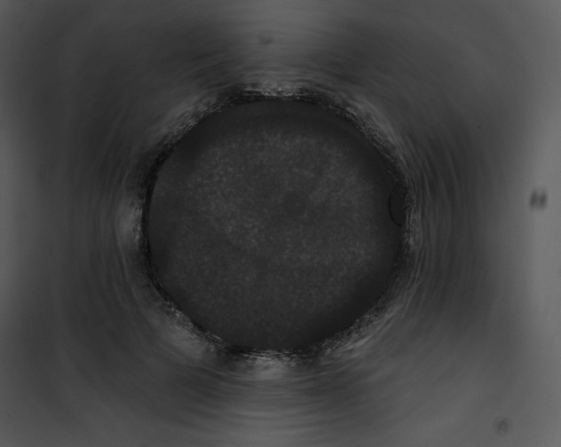 X0000100890697200807220952